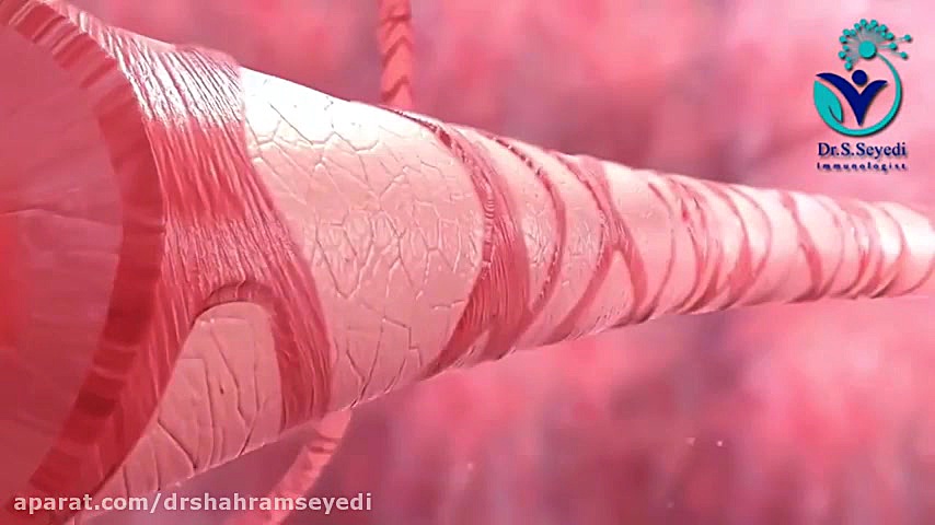 با عوامل ایجاد آسم آشنا شوید دکتر شهرام سیدی متخصص آلرژی و ایمونولوژی