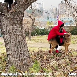 طنز جدید پریسا | پریسا پور مشک...