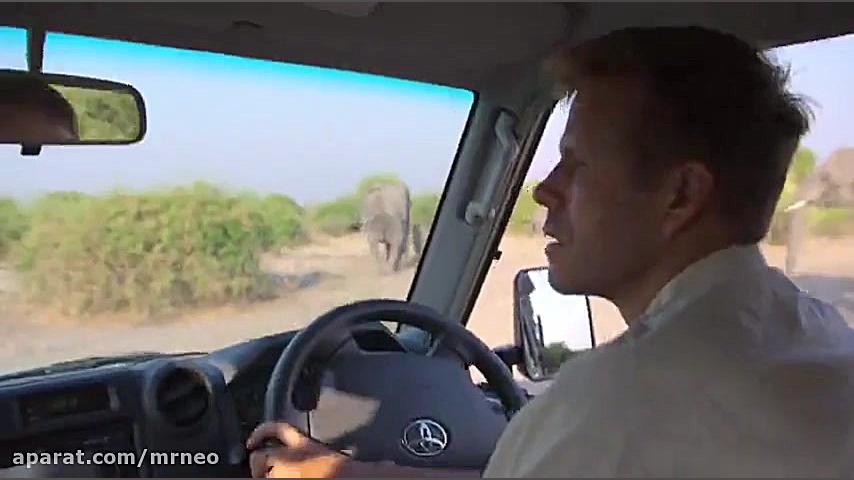 فیلم مستند | همگام با فیلها In The Footsteps Of Elephant 2020 زمان5079ثانیه