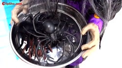 دیانا و روما | دیانا و روما |...