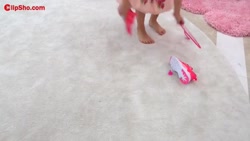 برنامه کودک دیانا و روما تمیز...