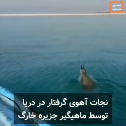 نجات آهوی گرفتار در دریا توس...