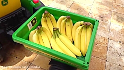 دیانا و روما  دیانا روما  دیان...