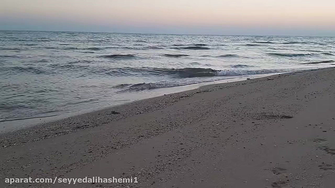 شعر خوانی سید علی هاشمی دلتنگی برای حضرت حجت عجل الله تعالی فرجه الشریف حجت الاسلام دکتر سید علی هاشمی