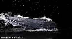 پروژه افترافکت نمایش لوگو با م...