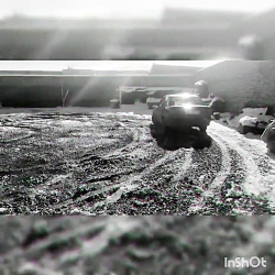 شوتی سیمرغ اپل