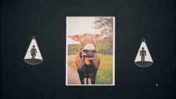 دخترا و پسرا چرا ازدواج نمی‌کن...