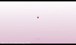 کارتون کوتاه گریزلی و موش ها