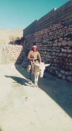 مارکو پولوی روستایی ( این قسمت : در جستجوی روغن )
