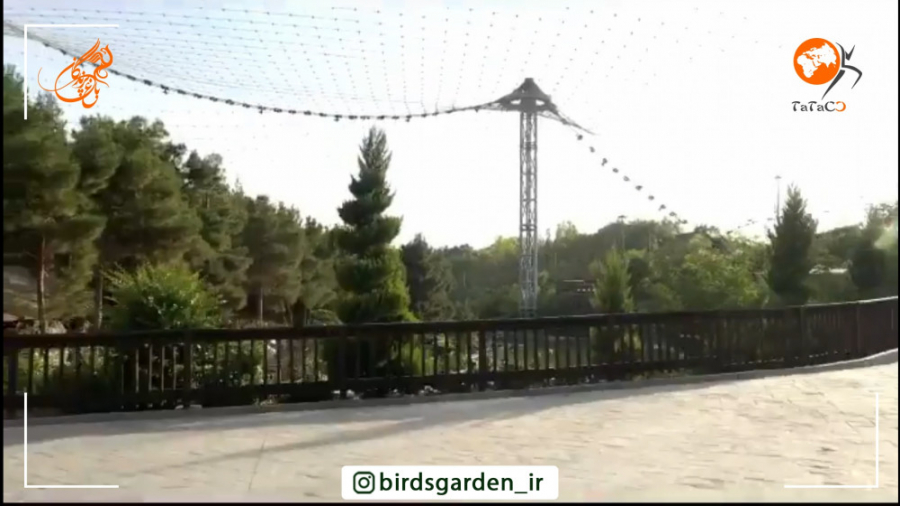 باغ پرندگان تهران  قسمت اول