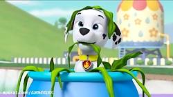 سگهای نگهبان جدید  دانلود سگها...