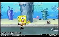 باب اسفنجی روز چام فاسد جدید د...