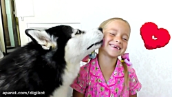 سوفیا با سگ و گربه بازی می کند...