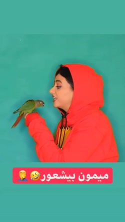 استوری جدید سرنا