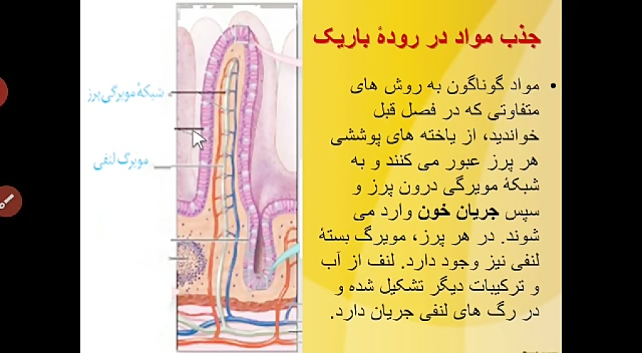 جذب در روده باریک ، روده بزرگ و دفع، گردش خون دستگاه گوارش ، دبیر: م ، کرد