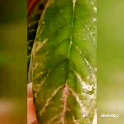 علوم سوم دبستان