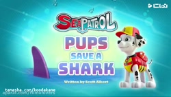 کارتون سگهای نگهبان / سگهای نگ...