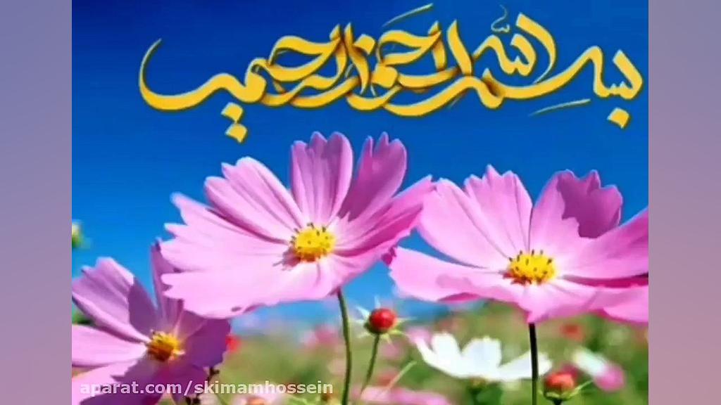 skimamhossein