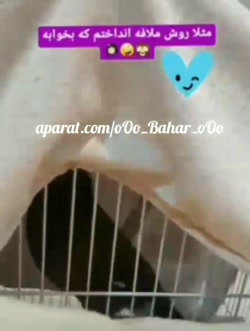 پریساو خواهرش/مینو پرندشون:)