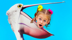 برنامه کودک جدید  مایا و مری ح...