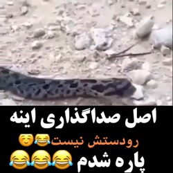 خفن ترین و خنده دار ترین صدا گ...