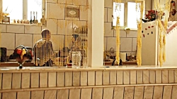 فیلم ۳۱۶ کارگردان : پیمان حقان...