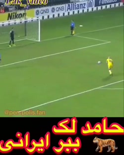 عشق حامد لک