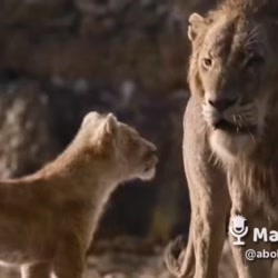 قرش کن بابا ببینه