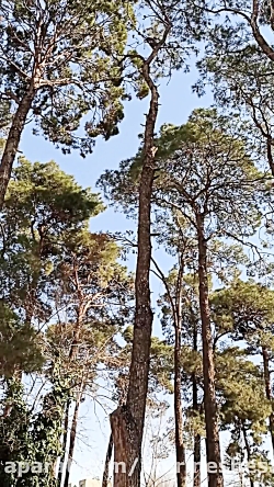 جمله بسیار زیبا و تامل برانگیز