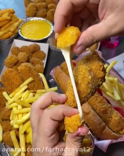 کلیپ غذاهای عالی و خوشمزه دنبا...