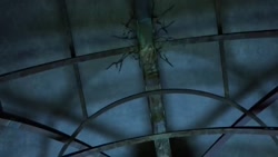 شرور شدن گربه سیاه