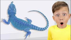 سنیا و حیوانات غول پیکر