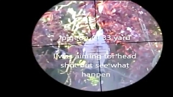 شکارتوسط سلاح بادی(اسلوموشن 6)