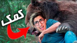 خرس بازی فیمس حاجی famous haji