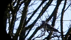 شکارتوسط سلاح بادی(اسلوموشن فو...