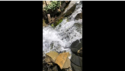 حس آرامش در طبیعت و پیمایش مسی...