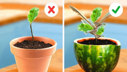 ترفندهای جالب و کاربردی خانه و...