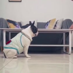 ویدعو طنز لطفا دنبالم کنین