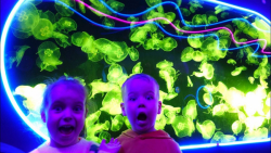 برنامه کودک جدید - گابی و الکس...