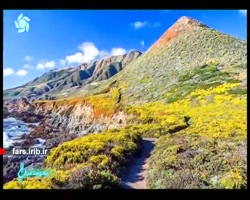 ترانه زیبای " دل من " با صدای...