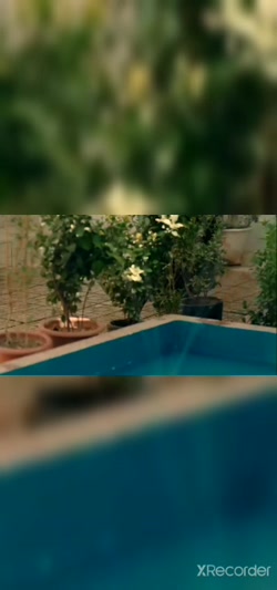 حاج قاسم سلیمانی