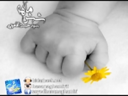 شش ماهه  آقامیری سید حسن آقامی...