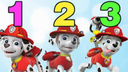 کارتون سگ های نگهبان  شمارش اع...