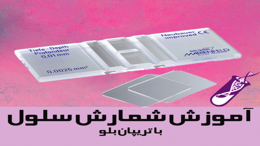 آموزش شمارش سلول کیلیان امباپه