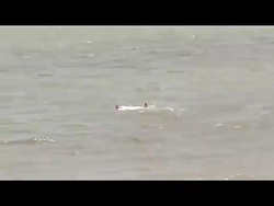 پهپاد دو زیست با قابلیت پرواز...