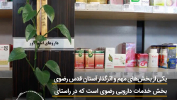 خدمات دارویی رضوی