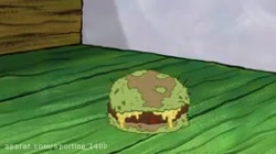 باب اسفنجی /