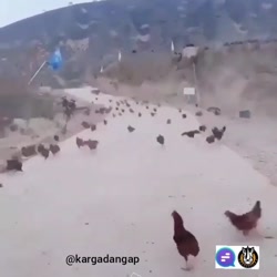 طنز / زنگ آخر مدرسه
