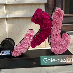 روز مادر .... کلیپ روز مادر .....