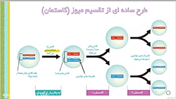 ویدیو آموزش گفتار 3 فصل 6 زیست شناسی یازدهم